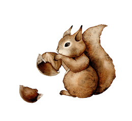 Squirrels and hazelnuts clipart, cute animal character illustration for children. Funny adorable squirrel and nuts cartoon for kids. Isolated clipart.