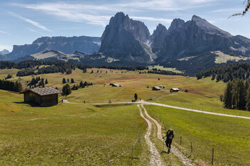 Woman hiker with backpack and hiking poles on a mountain trail in Alpe di Siusi. South Tyrol,...