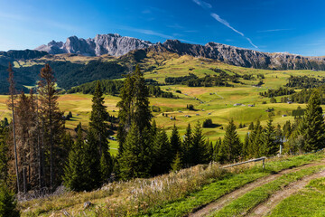Panoramic view of Alpe di Siusi landscape. View of beautiful vibrant green Seiser Alm meadow from the top cable car station from Ortisei.
South Tyrol, Dolomites, Alps, Italy.