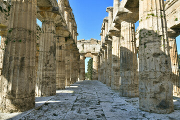 Fototapeta premium Architecture of an ancient Greek temple in the archaeological park of Paestum in Campania, Italy.
