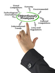 Seven Components of Opportunity Analysis