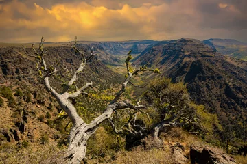 Fotobehang Big Indian gorge in the steens mountains in south central Oregon near Frenchglen © Bob
