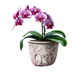 potted orchid purple illustration, transparent background, PNG