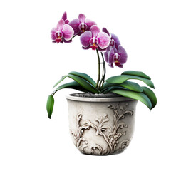 potted orchid purple illustration, transparent background, PNG