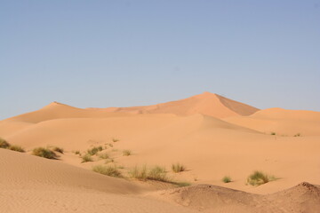 Fototapeta na wymiar Sand dunes in the Sahara Desert in Morocco