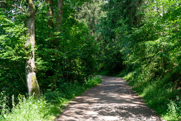 Obraz premium titisee 12