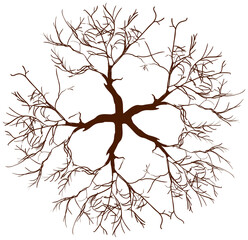 Brown Color of Landscaping Treetop Symbol or Isometric Tree and Plant for Garden Decoration.
