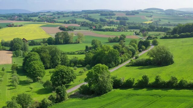 Summer aerial drone view landscape blooming yellow rapeseed fields, windmills, highway and farmers houses in the countryside of Germany. High quality 4k footage