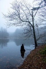 Foggy Fall on the Water