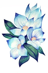 Blooming jasmine. Watercolor painting. Flowers illustration.