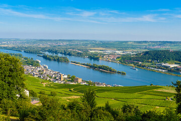 Fototapeta premium Areial view on vineyards and river near Ruedesheim am Rhein Rhine, Rudesheim, UNESCO World Heritage Site, Rheingau-Taunus-Kreis, Darmstadt, Hessen, Germany