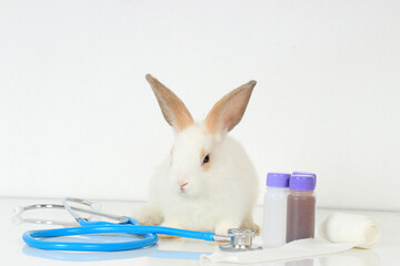 A cute white rabbit with long brown ears on white background, adorable bunny with doctor's stethoscope and medicine, veterinary, medical equipment and pat concept