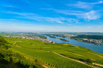 Fototapeta na wymiar Areial view on vineyards and river near Ruedesheim am Rhein Rhine, Rudesheim, UNESCO World Heritage Site, Rheingau-Taunus-Kreis, Darmstadt, Hessen, Germany
