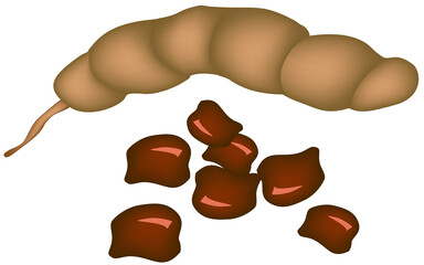 Fresh Fruits, Fresh Brown Ripening Pods of Tamarind and Seeds