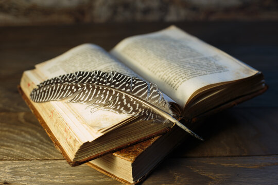 Quill pen on opened antique book.
