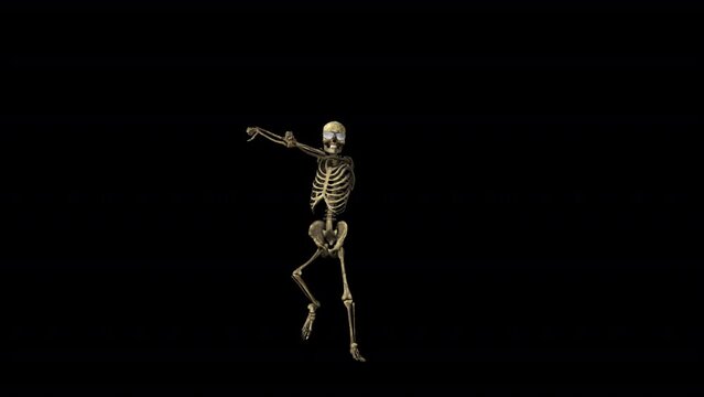 Skeleton Party Dancer 3D Animation With Alpha Video