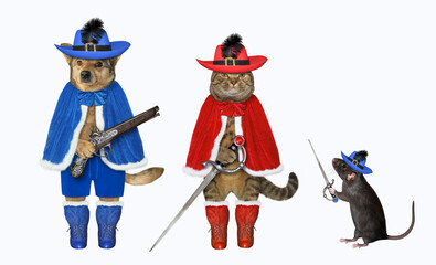 Cat with rat and dog are musketeers - 573040558