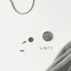 Simple Flatlays Gray Trusting sixtypenny - Generative AI