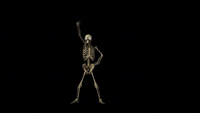 Skeleton Party Dancer 3D Animation With Alpha Video
