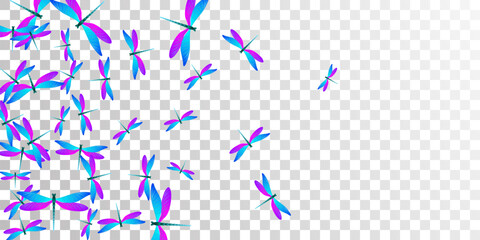 Tropical blue purple dragonfly flat vector illustration. Summer beautiful insects. Wild dragonfly flat kids background. Gentle wings damselflies graphic design. Fragile beings