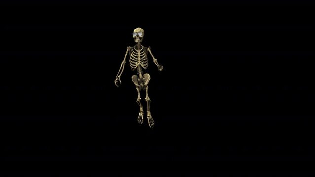 Skeleton Party Dancer 3D Animation With Alpha Video