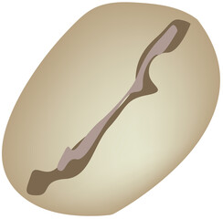 Coffee Time, Illustration of Lightly Roasted Coffee Beans with A Delicate Flavor and Subtle Aroma. Perfect for Those Who Prefer A Milder, Smoother Cup of Coffee.
