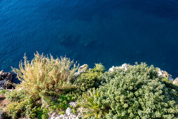 Beautiful, sharp rocks beneath Dubrovnik city walls, splashed by the crystal clear Adriatic sea and covered in dense vegetation