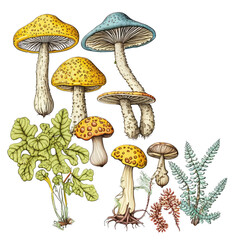 Psilocybin Mushroom Illustration, Clear Background, PNG, Generative AI, Amanita Muscaria, Generative AI