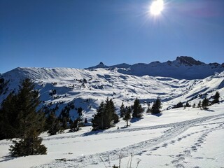 Ski tour with a view of the Spitzmeilen mountain in St. Gallen and Glarus. Ski mountaineering in the Swiss Alps. Skitour. High quality photo
