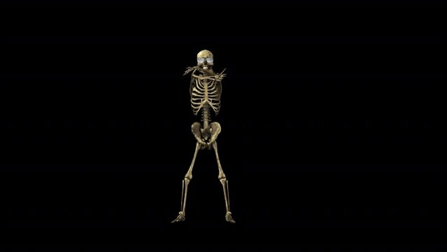 Skeleton Party Dancer 3D Animation With Alpha Video