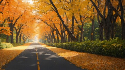 Fototapeta premium A large fall park, with beautiful streets, bike paths. The best place for a walk.