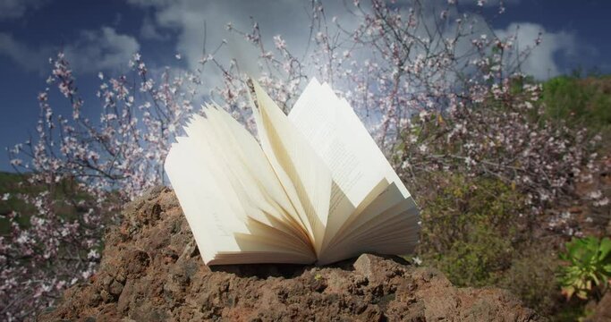 World poetry day. Reading education knowledge concept. Open book in spring blooming garden with white flowers close-up.