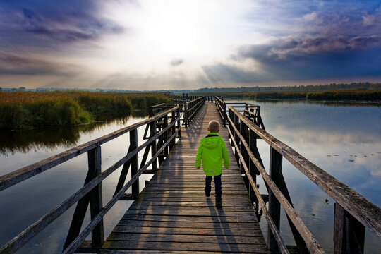 Child on a footbridge over a lake