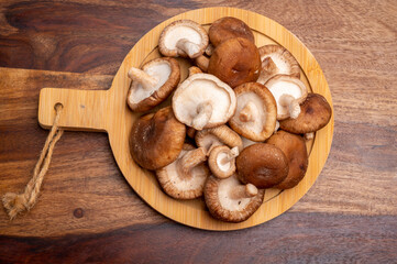 Fresh brown Lentinula edodes or shiitake edible mushrooms