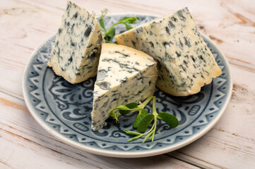 Cheese collection, piece of French blue cheese auvergne or fourme d'ambert