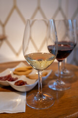 Tasting of different rioja wines, visit of winery cellars, Rioja wine making region, Spain