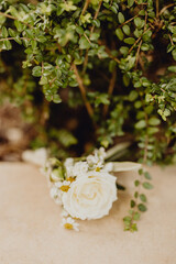 Une rose blanche comme boutonnière pour le marié