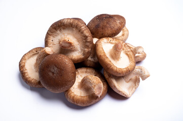 Fresh brown Lentinula edodes or shiitake edible mushrooms isolated on white background