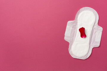Menstrual pad with red petals on color background, top view