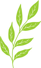 Branch with oblong leaves