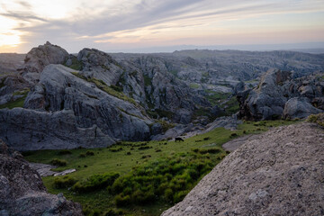 Obraz premium Idyllic rural landscape. Panorama view of a cow grazing in the green meadow and rocky hills at sunset. 