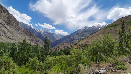 Fototapeta premium landscape with sky