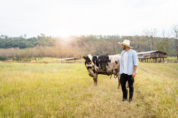 Obraz premium Portrait of Middle - East Asian man portrait in agriculture field in countryside, male cowherd standing in the field with a cows. Agricultural livestock farming concept.