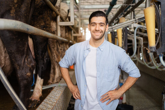 Happy cheerful Middle East - Asian male farmer making arms crossed and smiling to camera while standing in cow dairy farm. Male vet or veterinarian inspecting a livestock cows in farm.