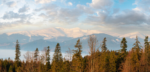 Early morning spring Carpathian mountains