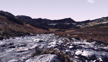 River in the Mountains - colorful Landscape