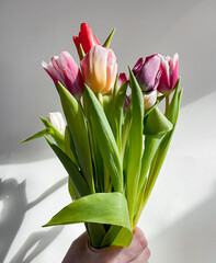 bouquet of tulips on white