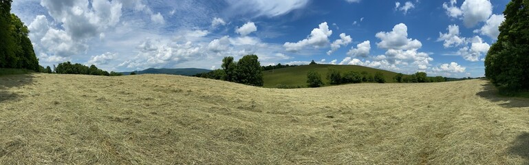 Obraz premium Keefer Oak - Giles County, VA