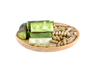 Moringa oleifera lam    isolated on  transparent png