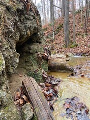 Ellett Valley Nature Preserve - Montgomery County, VA